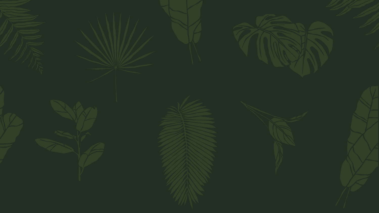 Renewal Room background of green plant leaves on a darker green background.